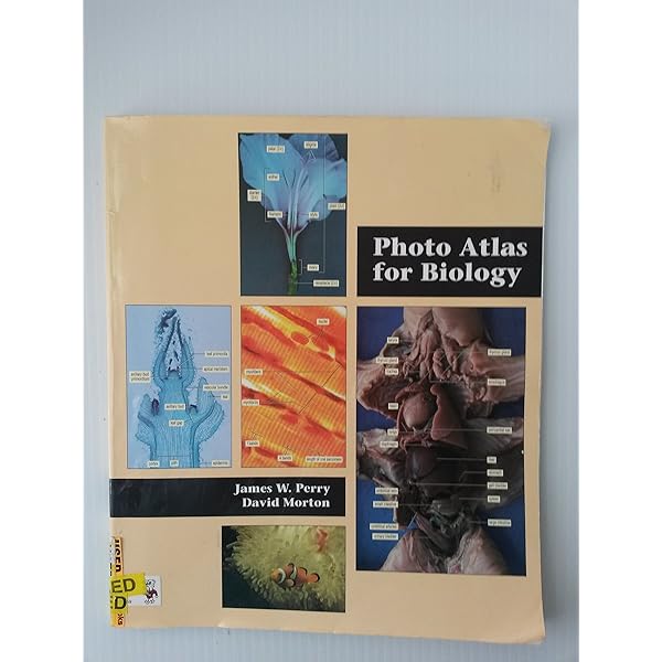 The Vice Photo Book: Jesse Pearson, Gavin McInnes: 9781576874103